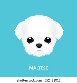 Vector Illustration Portrait Of Maltese Puppy. Art Of Dog Face