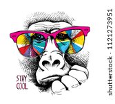 Vector illustration. Portrait of Monkey in a rainbow color glasses. Stay cool - lettering quote. Poster, t-shirt composition, hand drawn style print.