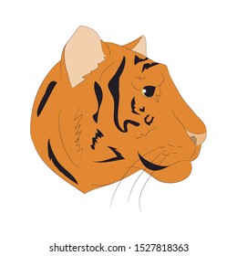 vector illustration portrait of an orange tiger, vector, white background