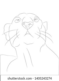 vector illustration of portrait panther, drawing by lines, vector, white background