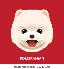 Vector Illustration Portrait of Pomeranian Puppy. art of dog face