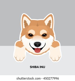 Vector Illustration Portrait of Shiba Inu Puppy. Dog isolated