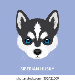 Vector Illustration Portrait of Siberian Husky Puppy. art of dog face