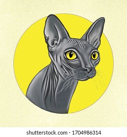 Vector illustration of a portrait of a sphynx cat in a yellow round frame in a watercolor style on a light textured background
