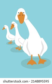 Vector illustration. Portrait of three white geese on a blue background. Bright print for design, decoration, postcards, posters and so on.