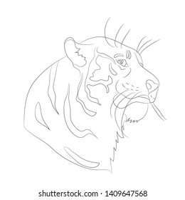 vector illustration portrait of tiger lines, vector, white background