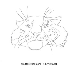 vector illustration portrait of tiger lines, vector, white background