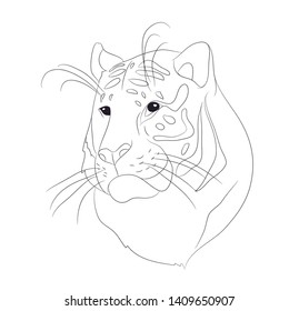 vector illustration portrait of tiger lines, vector, white background