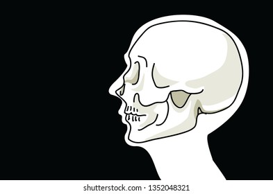 Vector illustration of portrait of x-ray portrait skeleton skull head isolated on black background