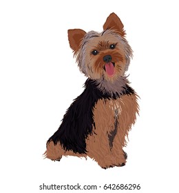 Vector Illustration Portrait Of Yorkie. Dog Isolated. Flat Design. Color Vector Icon Illustration.