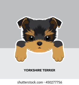 Vector Illustration Portrait of Yorkshire Terrier Puppy. Dog isolated