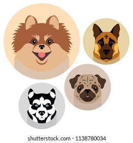 Vector illustration, portraits of dogs. Geometric style. breeds of dogs Spitz, Sheepdog, Pug, Husky