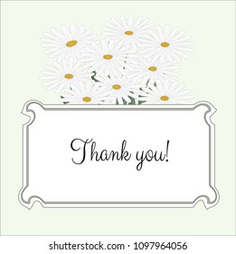 Vector illustration of a postcard with a bouquet of daisies flowers on a salad background and a place for a white text. Calligraphic text Thank you