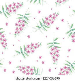 Vector Illustration. Poster with angelonia. Seamless background with modern home flowers