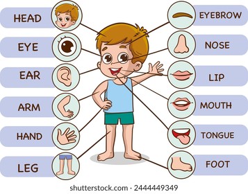 Ilustración vectorial del cuerpo humano. Cartel de educación preescolar con la anatomía del niño pequeño