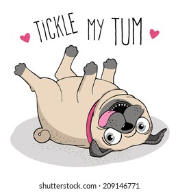 Vector illustration. Poster with a cute pug. Tickle my tum.