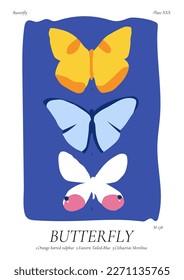 Vector illustration poster with different butterflies. Art for postcards, wall art, banner, background