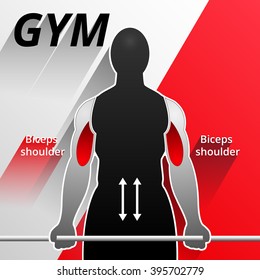 Vector illustration of the poster exercises for biceps in the gym