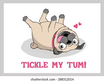 Vector illustration. Poster with funny pug. Tickle my tum.