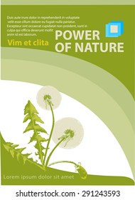 Vector illustration, poster of a green nature with fluffy dandelion