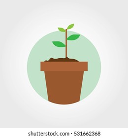 Vector Illustration of pot plant.