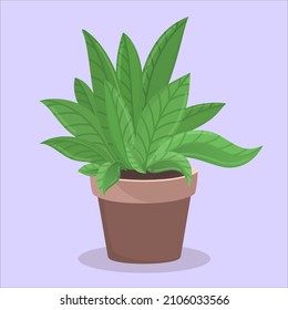 vector illustration of a pot with a plant. House plant, part of the interior, Decor for office, study, bedroom, living room