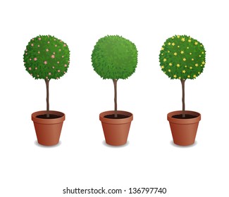 Vector Illustration of Pot Plants