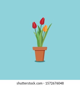 Vector illustration of a pot with red and yellow tulips, woman day presents