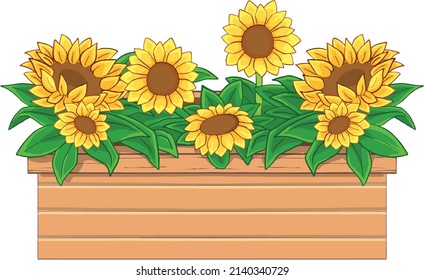 vector illustration of a pot of sunflowers