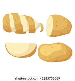 Vector illustration of potato. Half peeled potato with the twirling skin peel over it, composition sliced potato isolated white background for menu and packaging illustration