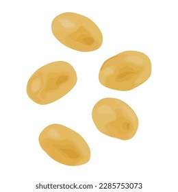 Vector illustration of potato. Half peeled potato with the twirling skin peel over it, composition sliced potato isolated white background for menu and packaging illustration