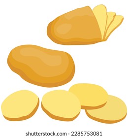 Vector illustration of potato. Half peeled potato with the twirling skin peel over it, composition sliced potato isolated white background for menu and packaging illustration