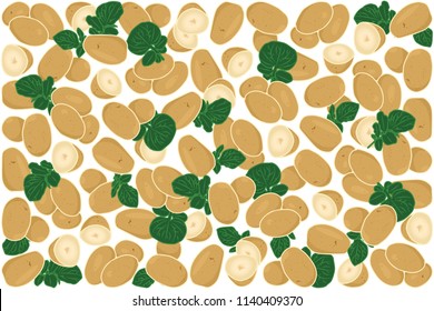 vector illustration of potato and leaf design background white and vegetable EPS10