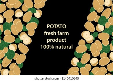 vector illustration of potato and leaf design background black and vegetable and text fresh farm product 100% natural EPS10
