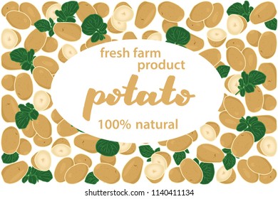 vector illustration of potato and leaf design with lettering potato background white and vegetable and text fresh farm product 100% natural EPS10