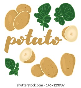 Vector Illustration Potato Leaf Design Isolated Stock Vector (Royalty ...