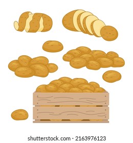 Vector illustration of Potato products set. Chips, pancakes, french fries, whole root potatoes in cartoon realistic style. Harvest vegetables icons.