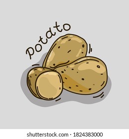 Vector illustration with potatoes. The concept of harvest. Objects are isolated.