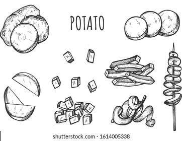 Vector illustration of potatoes set. Fast food meal. Fried, , sliced, chopped in circles, cubes, spiral, rectangles on skewer in free form. Vintage hand drawn style.