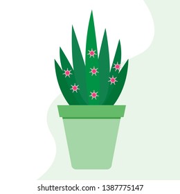 Vector illustration with potted cactus. Succulents. Trendy background. Tropical plants. Design for postcard, banner, poster or print.