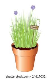 Vector illustration of potted chives isolated on white background. Also available as jpg.