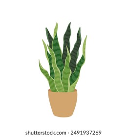 Vector illustration of potted Ficus plant in flat style. Perfect for home decor, eco-friendly designs, and botanical projects. Enhance your interiors with this stylish, vibrant houseplant graphic.