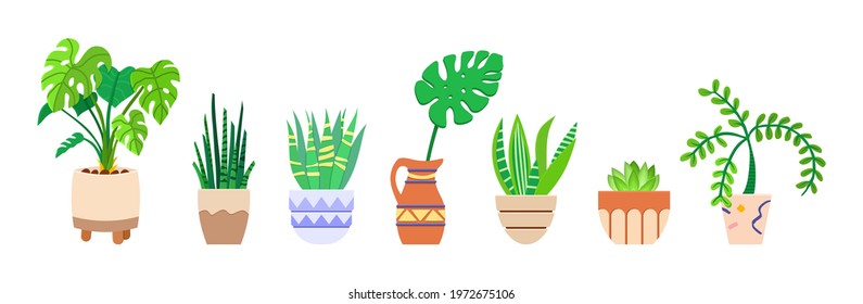 Vector illustration of potted flowers isolated on a white background. Icons and silhouettes of colors. Tropical plants, monstera, cactus, cacti, bush, aloe, succulent. Potted house plants
