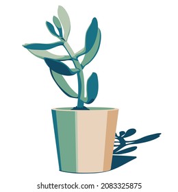 Vector illustration of a potted house plant crassula in turquoise and beige. Isolated and editable succulent design.