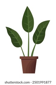 Vector illustration of a potted houseplant. Decorative green houseplant in pot and planter, natural home decor and urban jungle. Vector illustration