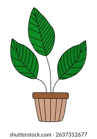 Vector illustration of a potted indoor plant with large green leaves. Perfect for eco branding, botanical design, home decor prints, and plant-related projects.