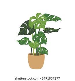 Vector illustration of potted monstera plant in flat style. Perfect for home decor, eco-friendly designs, and botanical projects. Enhance your interiors with this stylish, vibrant houseplant graphic.