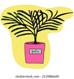 Vector illustration of a potted palm tree. Clip art, hand drawn.