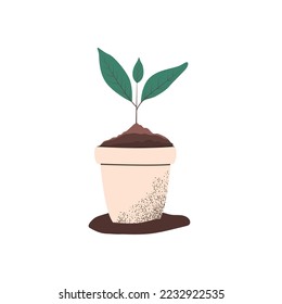 Ilustración vectorial de una planta maceta. Sprout. La joven planta. Semillas