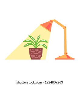 Vector illustration, potted plant under the lamp light, flat style. Can be used as interior elements, home decoration, applicable for plants care leaflets, hygge illustrations etc.